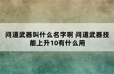 问道武器叫什么名字啊 问道武器技能上升10有什么用